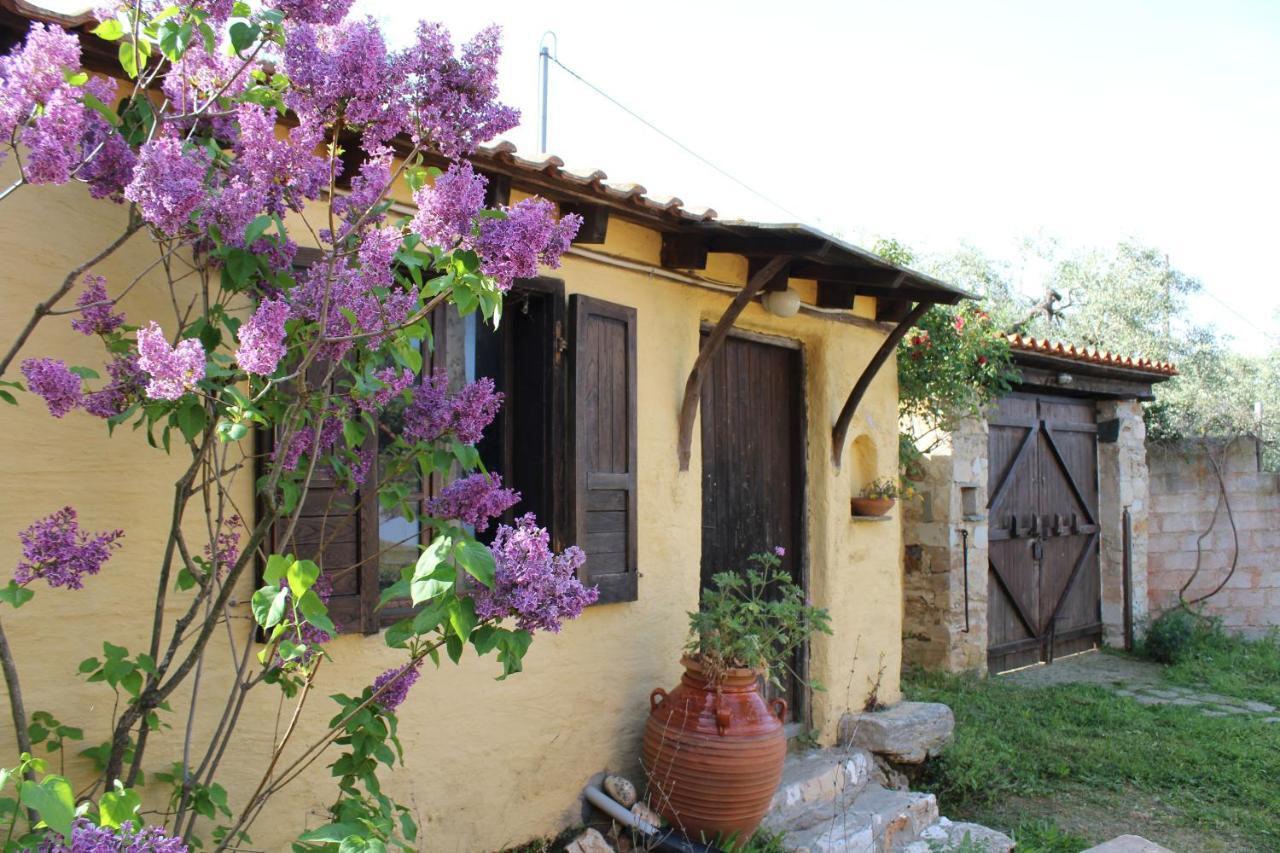 Varias Art House Kallirakhi ภายนอก รูปภาพ
